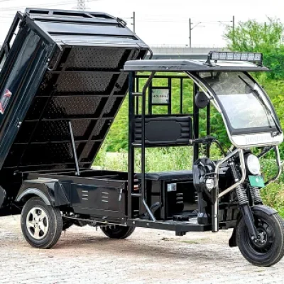 500-kg-e-rickshaw-loader-500x500 (3)